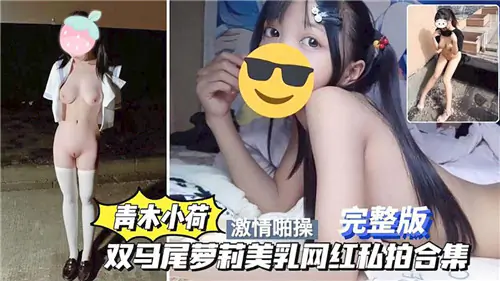 青木小荷双马尾萝莉巨乳网红私拍爆操合集